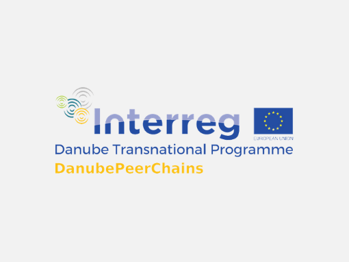 Pregled leta 2021 v projektu DanubePeerChains