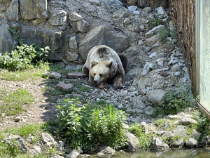 naravoslovni_dan_botanicni_vrt_zoo_maj2022_7